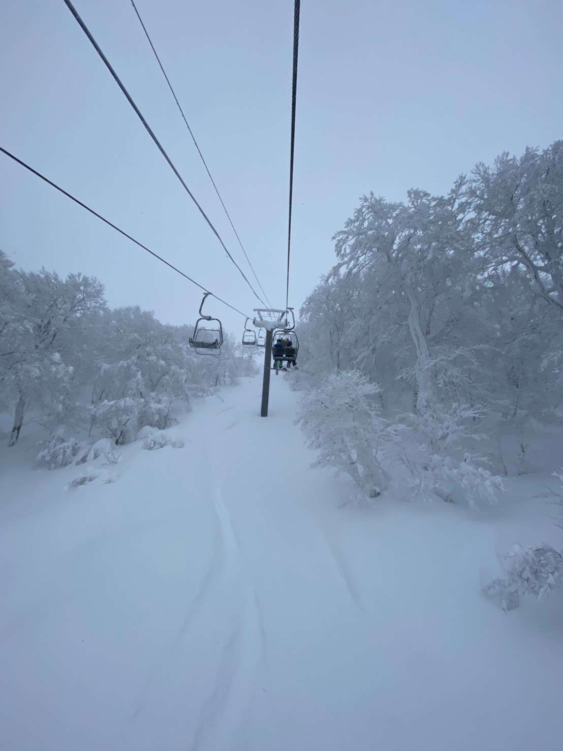 Perfect Powder in Hachimantai!