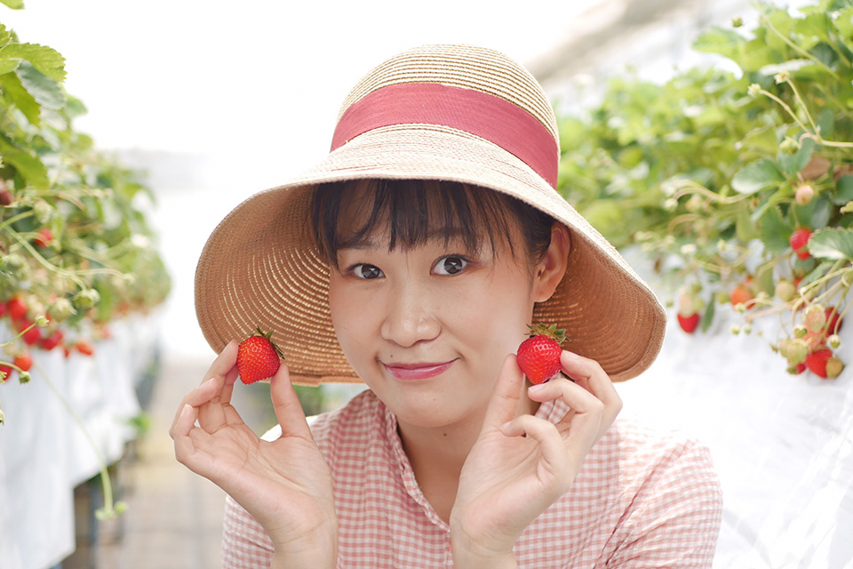 Strawberry Picking