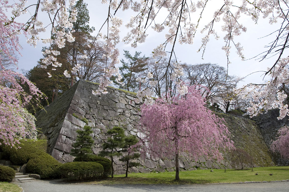 Iwate Park