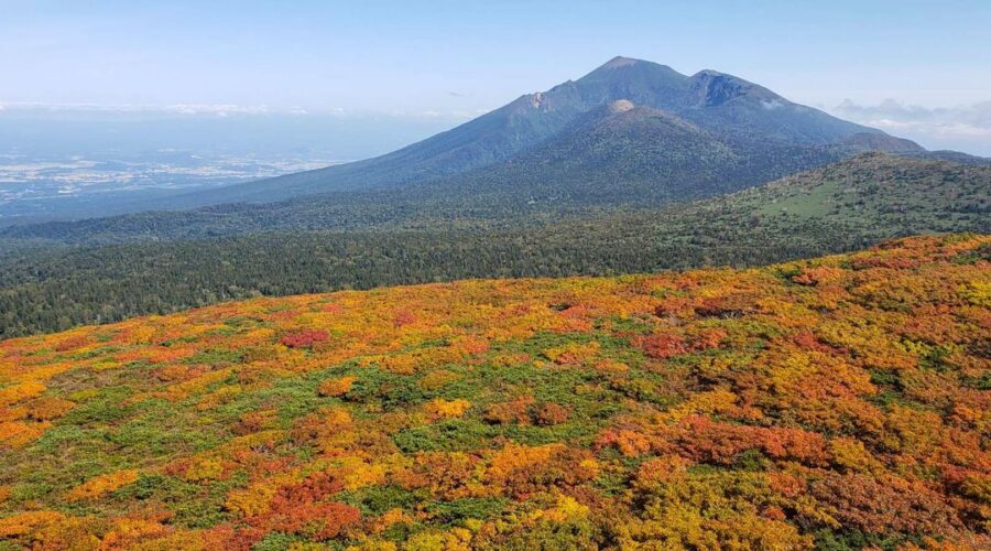 Mt. Mitsuishi in the Fall!
