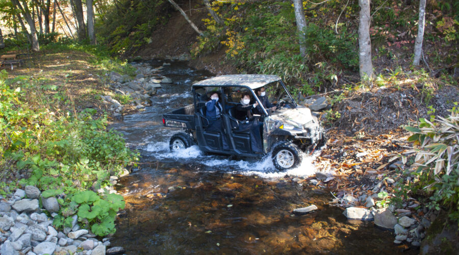Get behind the wheel and feel the power with Lodge Tandem Polaris off road driving experience!