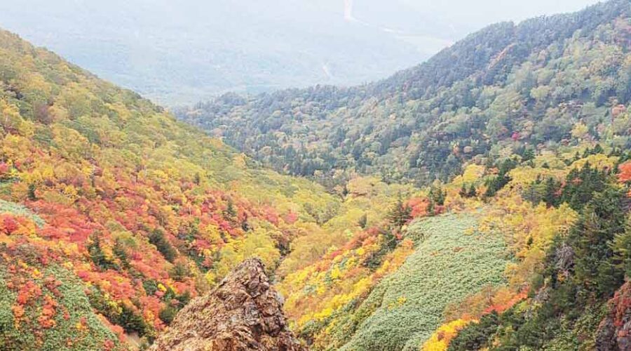 Discover the Secret World of Mt. Iwate