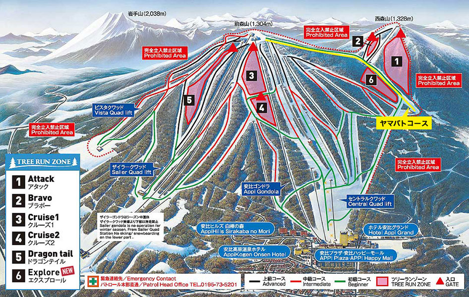 Powder-skiing and Snowboarding in the Tree Run Zone at APPI SKI Resort