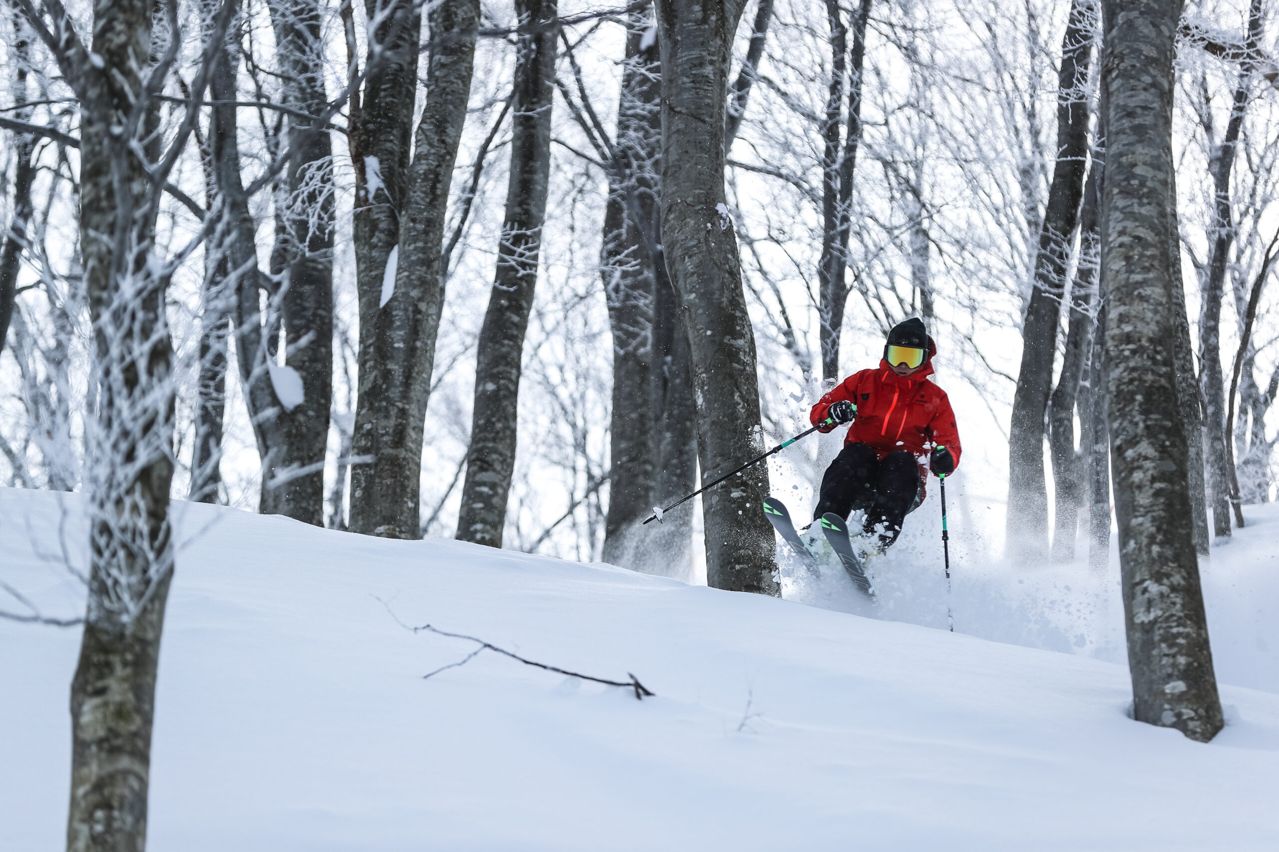 Tree Run Skiing