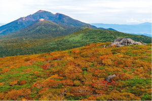 Autumn scenery and Mt. Iwate, viewed on Mt. Mitsuishi – Photo: Hachimantai DMO, Inc.
